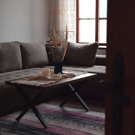 Eco St Ignatius еко лодж игнажден Willa *