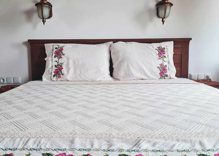 Eco St Ignatius еко лодж игнажден *